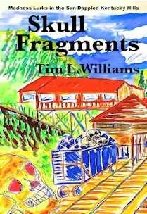 Cover of Skull Fragments: Noir Stories